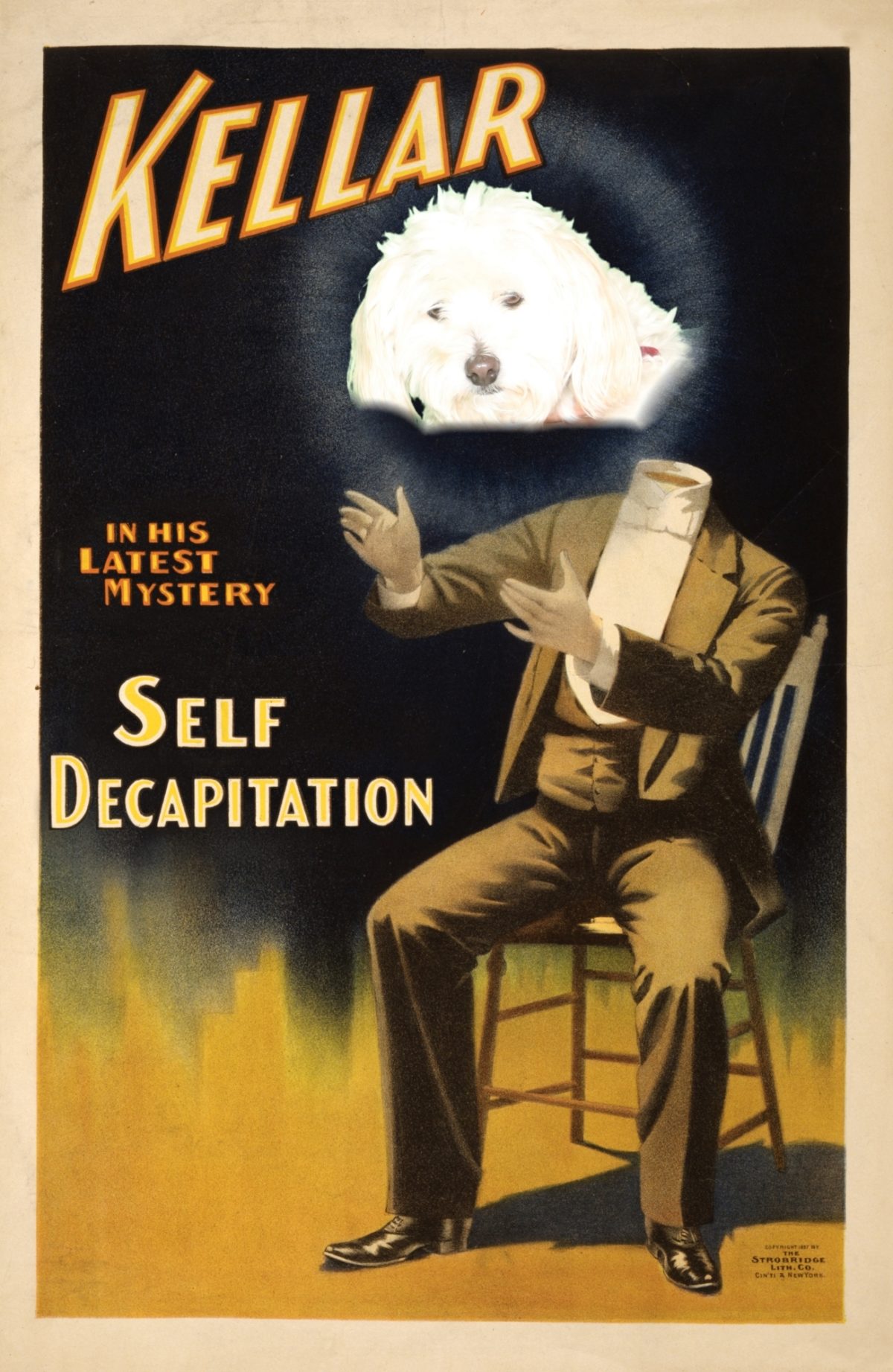 The head of a white dog overlaying onto a poster promoting a magician with the Poster Photo Booth.