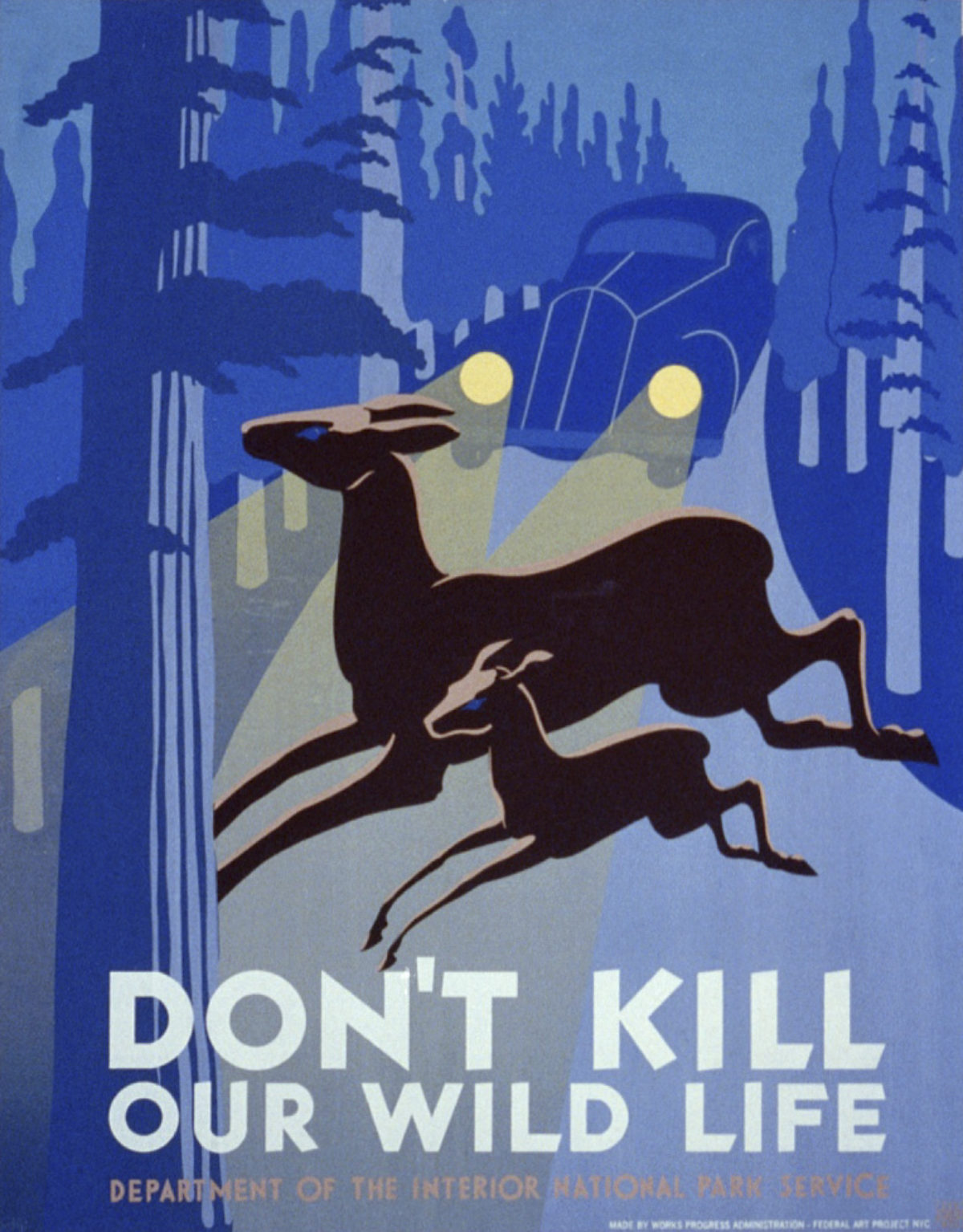 Dont-kill-our-wild-life