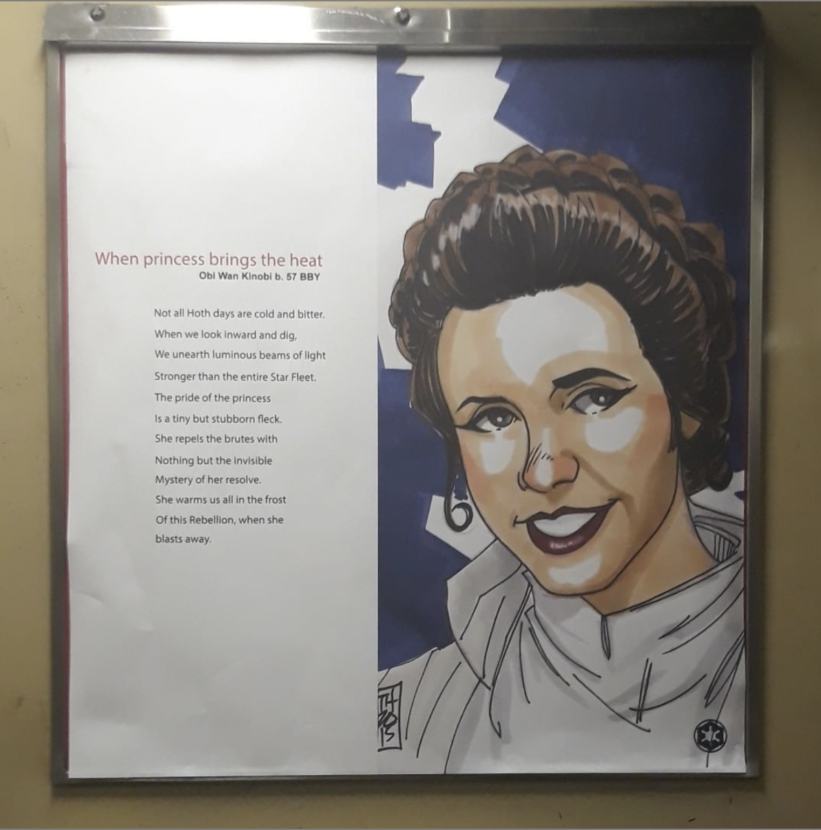 illustrational poster inside of an MTA subway cart of Princess Leia from the Star Wars films