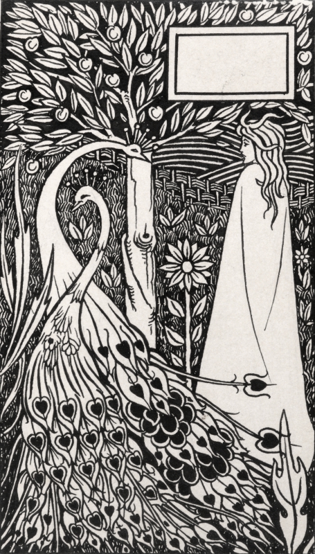 black and white illustration of a person standing next to two peacocks amongst nature