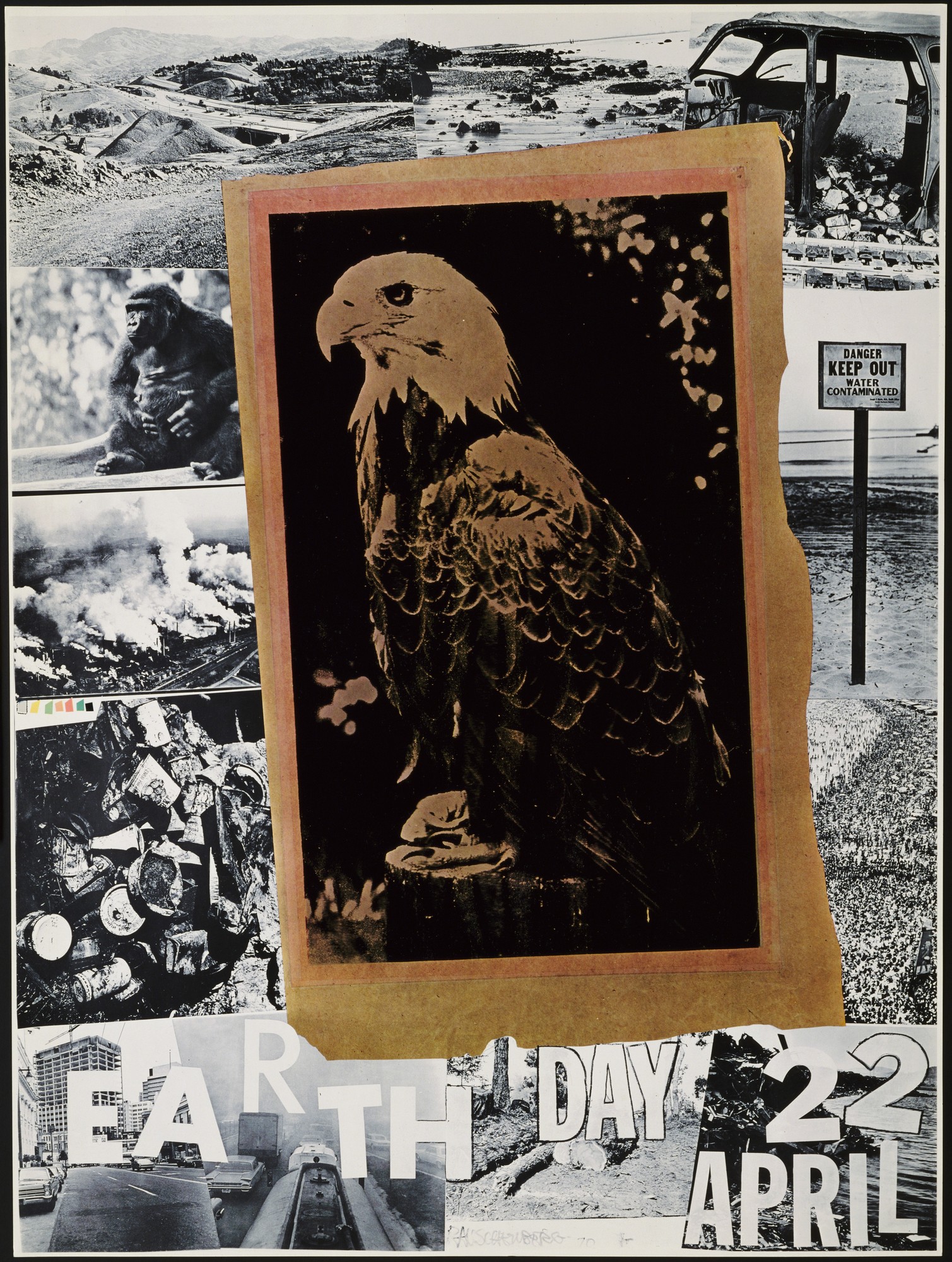 antique image of a bald eagle layered over collage of black and white images