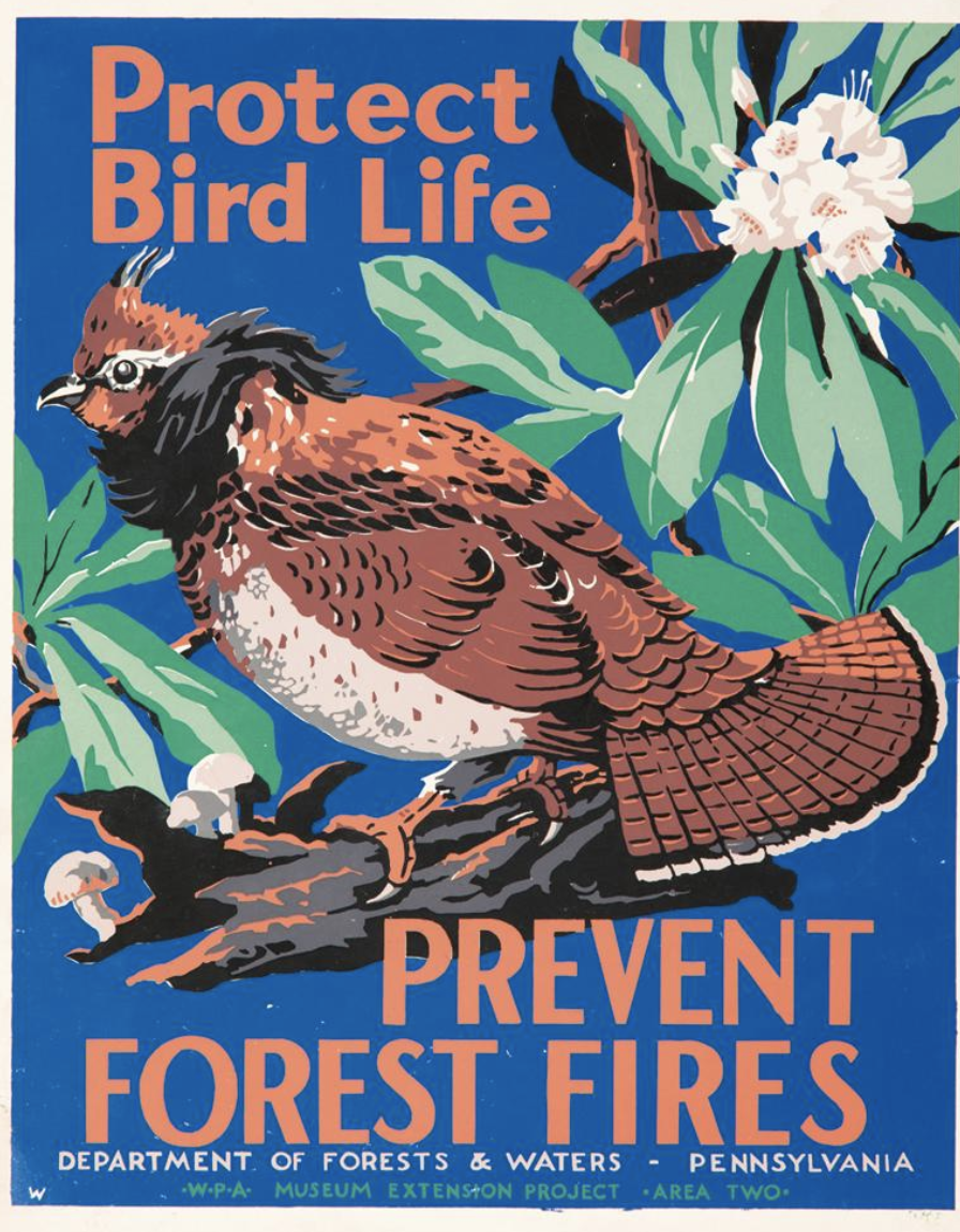 illustrational poster of a bird on a flowering branch