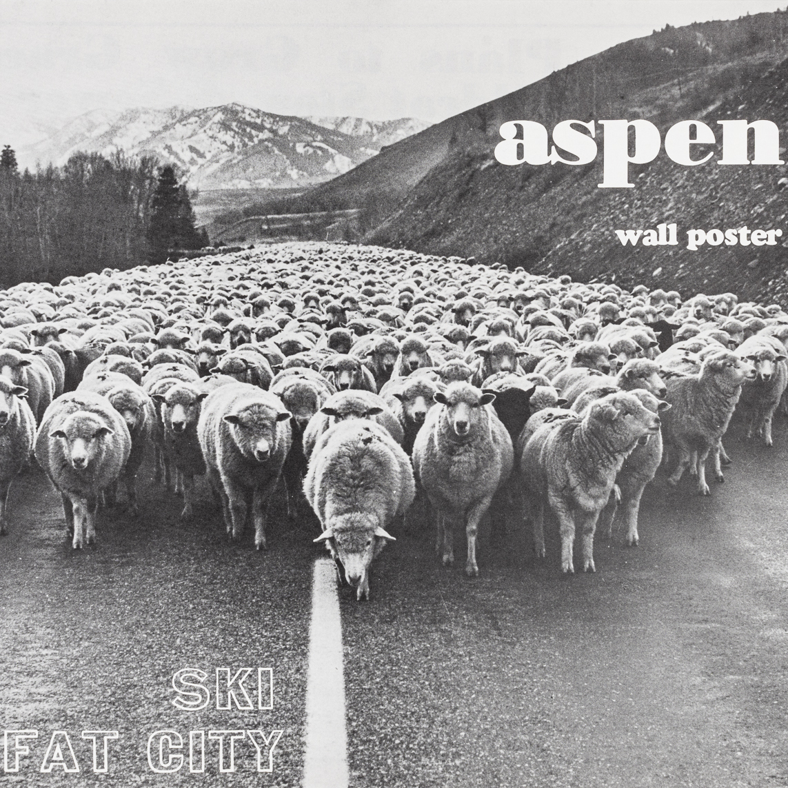 a black and white photograph of hundreds of sheep in the middle of a paved roadway. the text reads