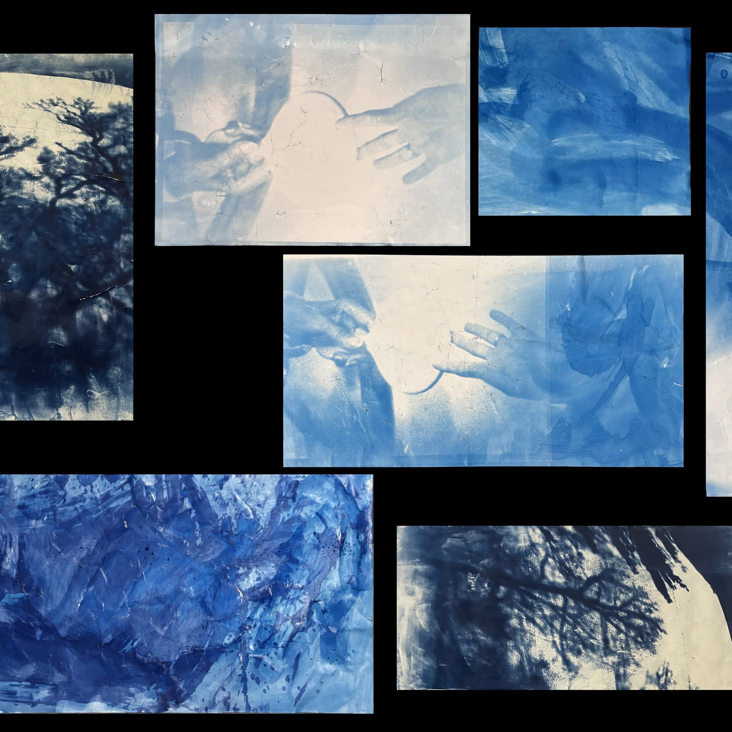 a photograph of seven different cyanotypes depicting different types of leaves.