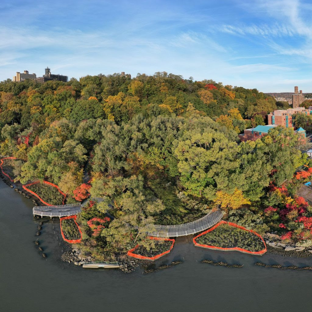 An aerial photo of a forest of trees on the bank of a river