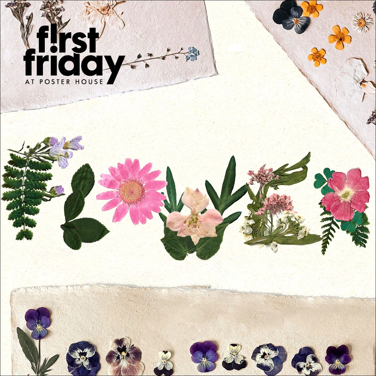 Digital image of several pressed pink, purple and yellow flowers atop paper on a white surface.