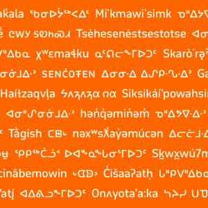 Several lines of white text in an Indigenous language set against an orange background.